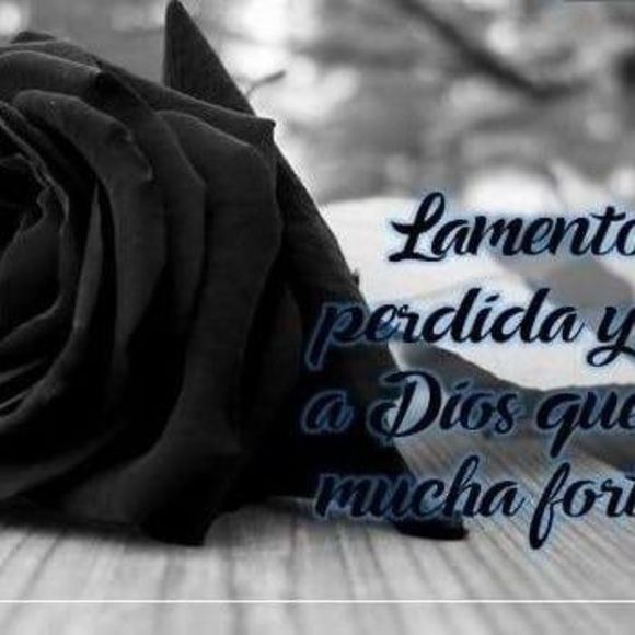 Meet your Posher, Yudy - Picture 1 of 1